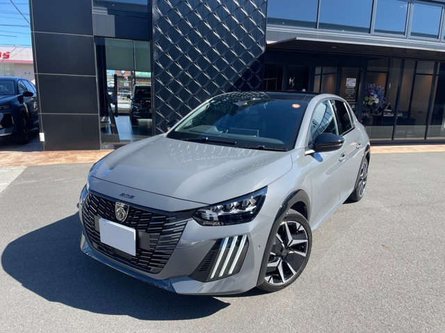 208GT セレニウム エディション