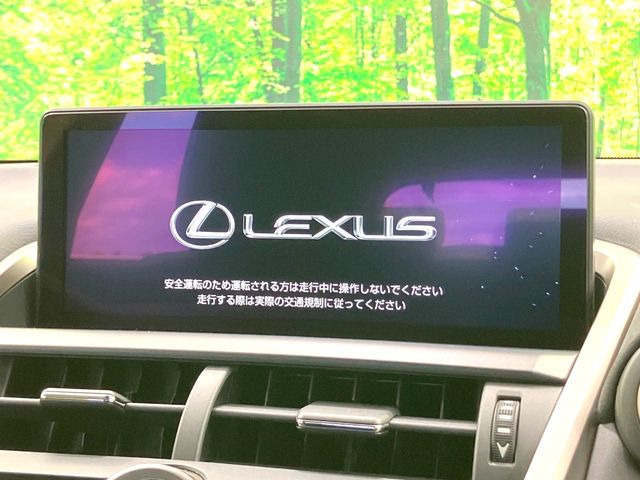 NX300h スパイス&amp;シック