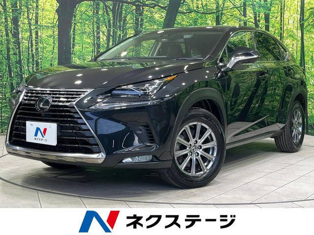 NX300 バージョンL
