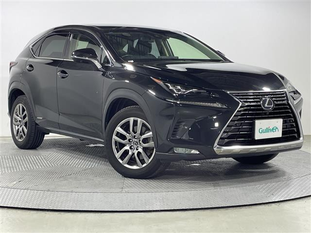 NX300h バージョンL