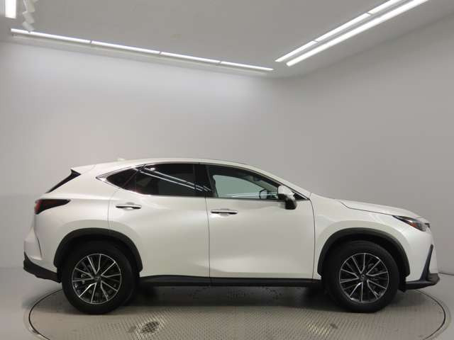 NX