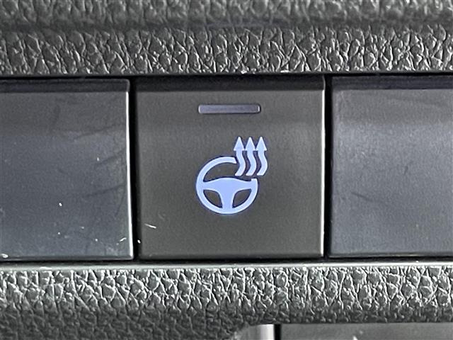 RAV42.0 アドベンチャー 4WD