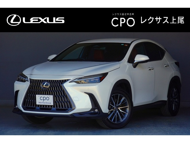 NX250 バージョンL