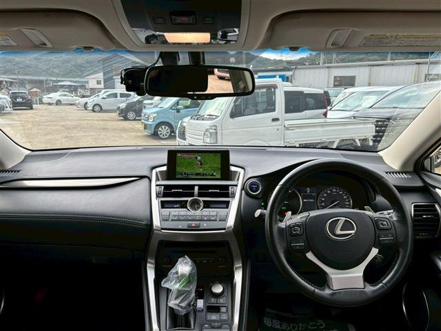 NX300h