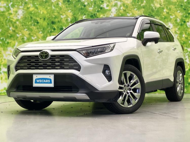 RAV42.0 G Zパッケージ 4WD