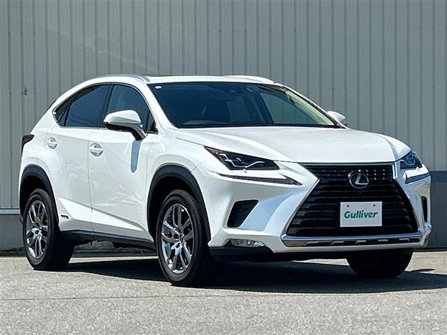 NX300h バージョンL