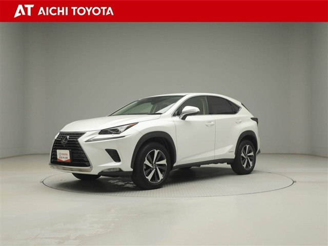 NX300h バージョンL