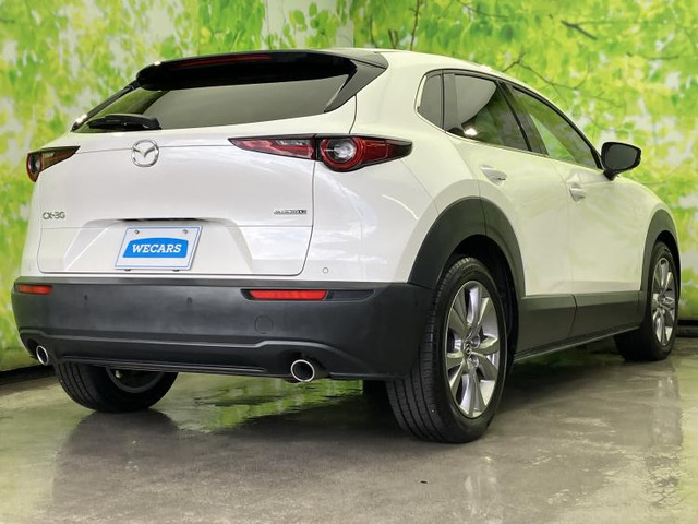 CX-301.8 XD Lパッケージ