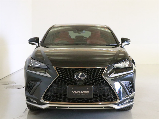 NX300h Fスポーツ