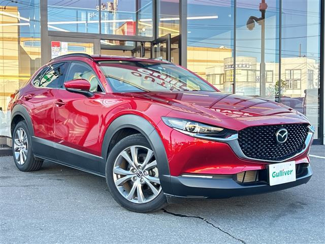 CX-301.8 XD Lパッケージ