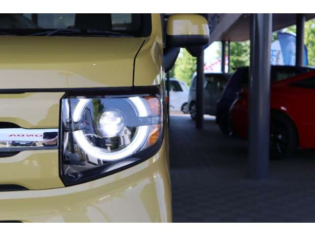 N-VAN