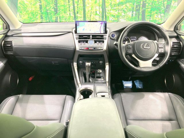 NX300h スパイス&amp;シック