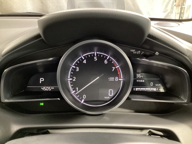 MAZDA21.5 15 サンリット シトラス