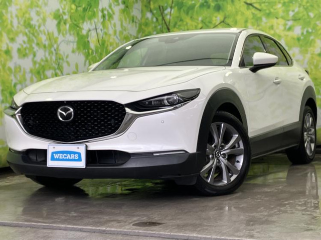 CX-301.8 XD Lパッケージ