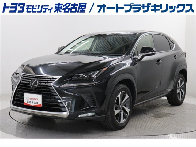 NX300 Iパッケージ