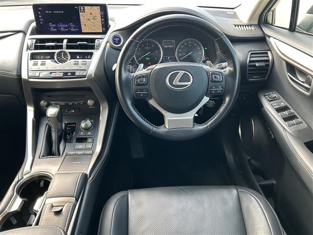 NX300h バージョンL