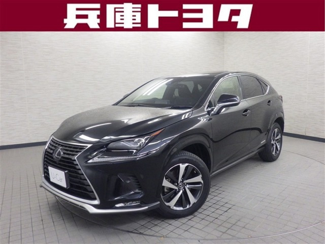 NX300h