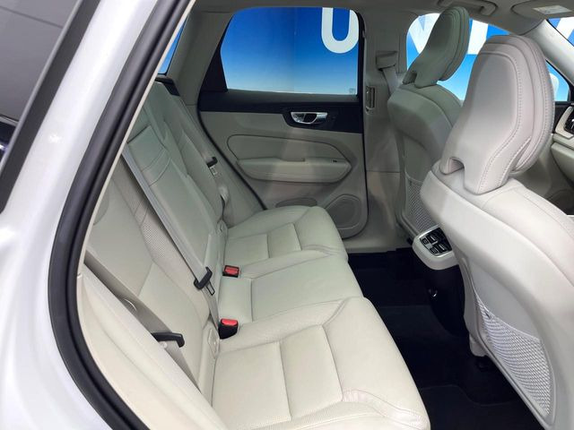 ���㕔���Ȃ��C�ɂȂ�悤�ȃL�Y�E�����ւ��蓙�A�傫�ȃ_���[�W�͂Ȃ��A�ǍD�ȏ�Ԃł��B