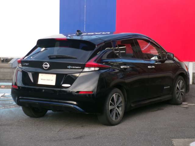 リーフX
