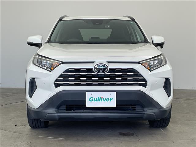 RAV42.0 X