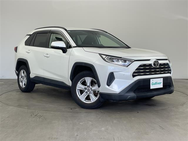 RAV42.0 X