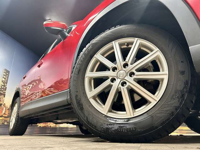 ����17�C���`�A���~�z�C�[��!�A���~�̃R�[�e�B���O��������܂�!���ꂪ���ȃA���~�z�C�[�������S�ł�!!