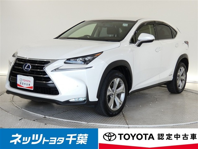 NX300h バージョンL