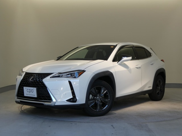 UX250h バージョンC