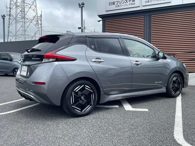 リーフX
