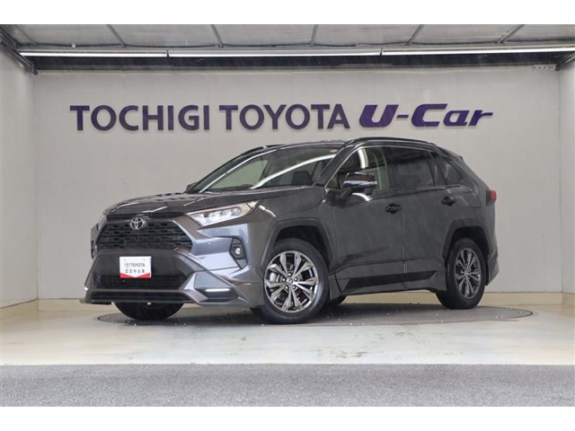 RAV42.0 X