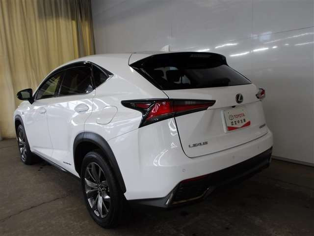 NX300h Fスポーツ