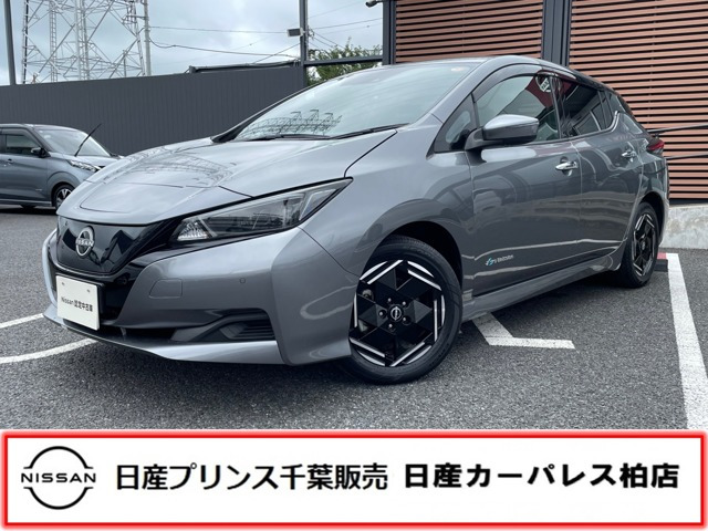 リーフX