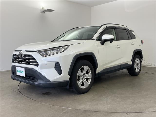 RAV42.0 X