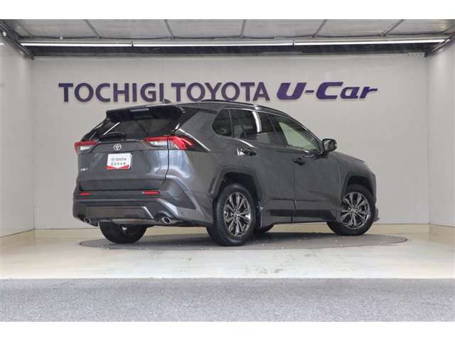 RAV42.0 X
