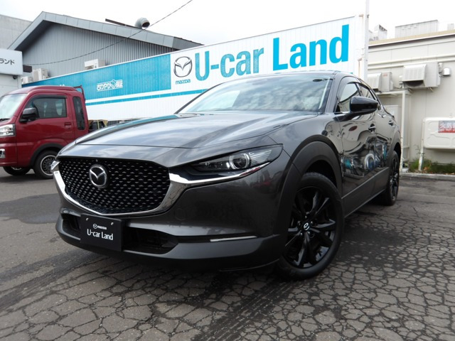 CX-30