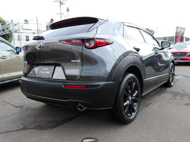CX-30