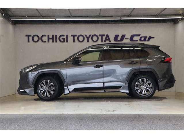 RAV42.0 X