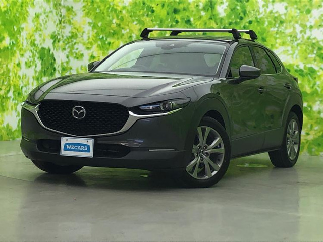 CX-301.8 XD プロアクティブ ツーリングセレクション