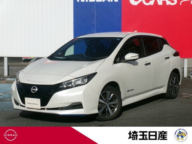 リーフe+ X