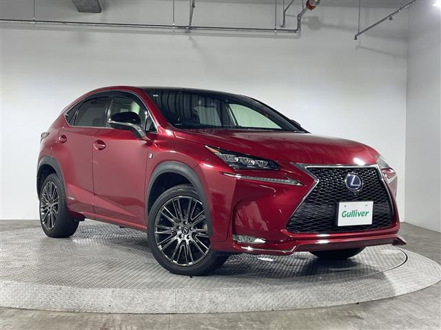 NX300h Fスポーツ