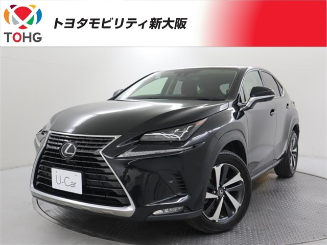 NX300 Iパッケージ