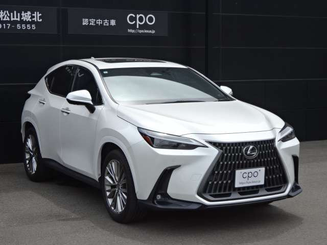 NX250 バージョンL 4WD