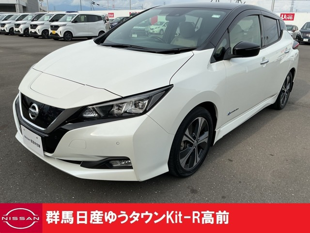 リーフX