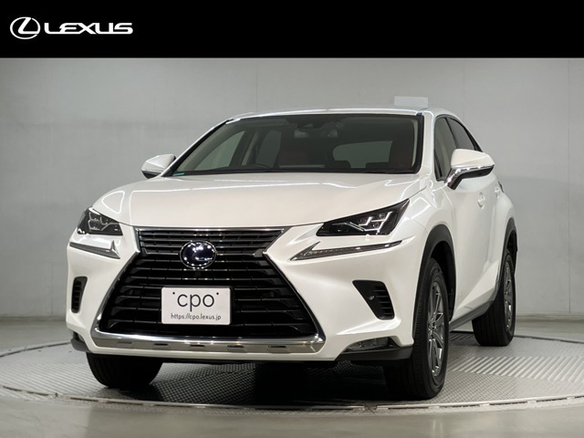 NX300h Iパッケージ