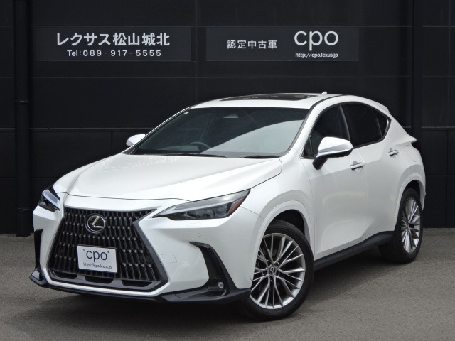 NX250 バージョンL 4WD