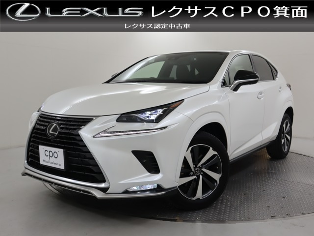 NX300