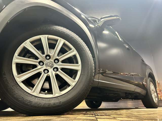 ����17�C���`�A���~�z�C�[��!�A���~�̃R�[�e�B���O��������܂�!���ꂪ���ȃA���~�z�C�[�������S�ł�!!