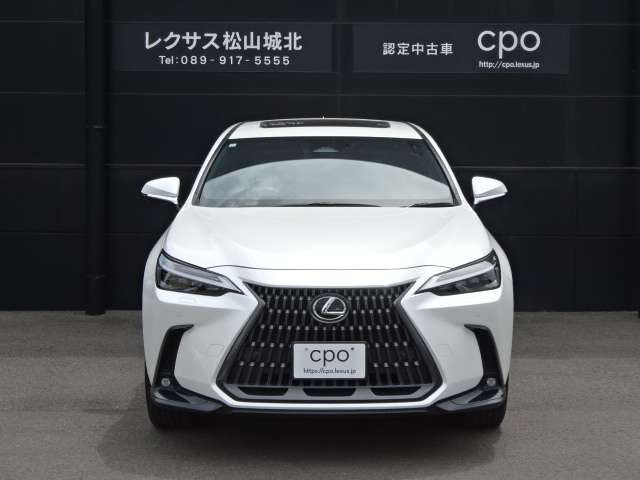 NX250 バージョンL 4WD