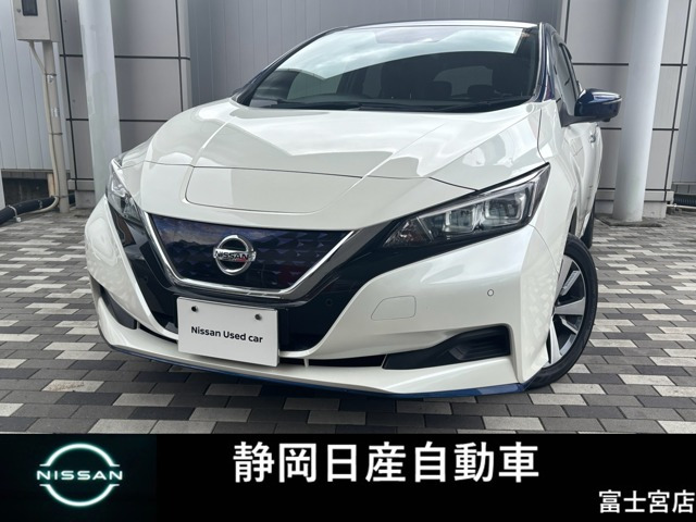 リーフe+ X