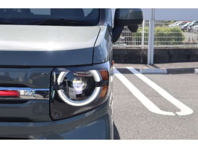 N-VANファン